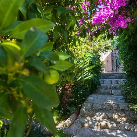 Dino Lejlighed Lopud