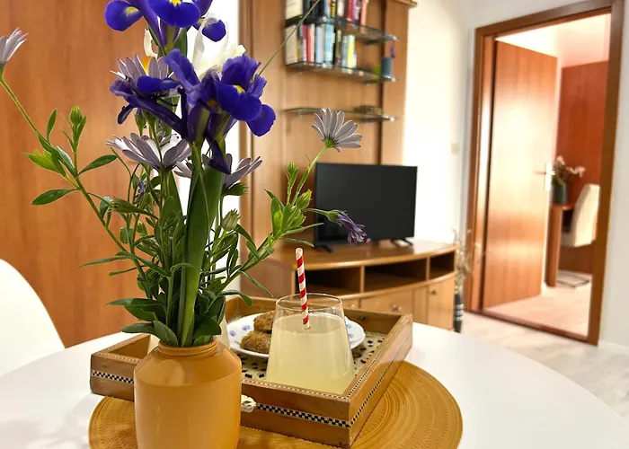 Apartment Dino Lopud