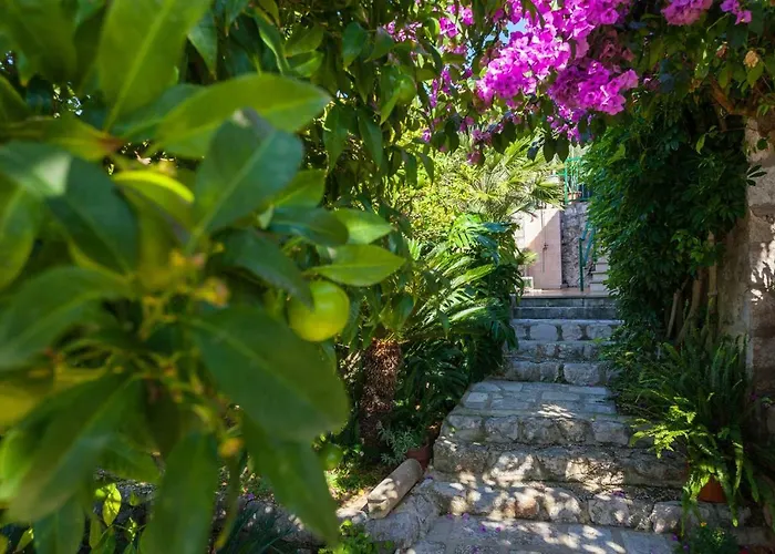 Dino Apartment Lopud